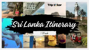 Read more about the article Sri Lanka Itinerary 1 Week : Guide To Explore Sri Lanka In A Week