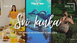 Read more about the article Top 10 Activities in Sri Lanka for Travelers In 2024