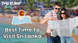 Read more about the article Best Time To Visit Sri Lanka: When to Enjoy Beaches, Wildlife, and Culture