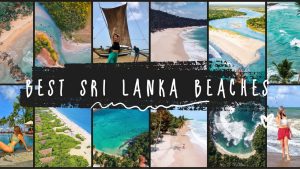 Read more about the article 11 Sri Lanka Beaches You Can’t Miss | Best Snorkeling, Diving And Seafood Dining