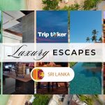 12 Top Luxury Escapes in Sri Lanka You Can’t Miss in 2024