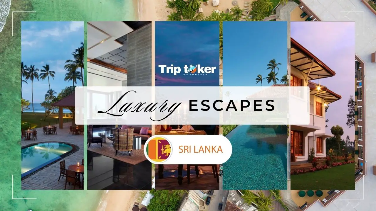 You are currently viewing 12 Top Luxury Escapes in Sri Lanka You Can’t Miss in 2024