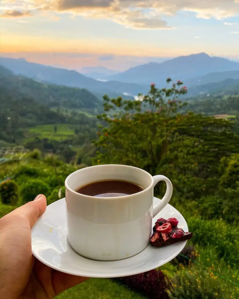 speacial-sri-lankan-tea-cup-Tea-Trails-In-Sri-Lanka